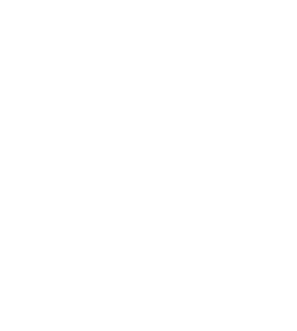 Professional Photographer White logo on a light gray background featuring the text ALEX IVAN IMAGERY above large stylized letters AII or NII in a minimalist, modern font—perfect for a headshots photographer or pet photography branding. www.maranonimagery.com