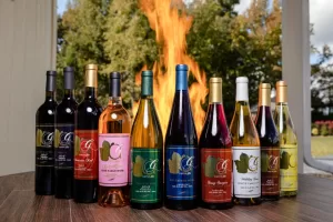 Professional Photographer Ten bottles of various wines are arranged in a row on a wooden table, with a large, bright flame burning in the background and trees visible outside—perfect for wedding photography or creative portraits. www.maranonimagery.com