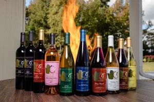 Professional Photographer Nine assorted bottles of wine with colorful labels are displayed in a row on a wooden table outdoors, with greenery and a large flame in the background—a perfect setting for a photographer to capture the vibrant scene. www.maranonimagery.com