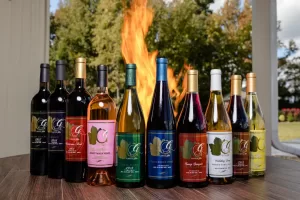 Professional Photographer A row of ten assorted wine bottles is displayed on a wooden table outdoors, with a large fire blazing in the background and trees beyond—perfect for wedding photography or capturing unique portraits in a dramatic setting. www.maranonimagery.com
