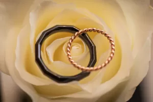 Professional Photographer Two rings, one black and faceted and the other gold and twisted, rest atop the delicate petals of a pale yellow rose, perfectly captured by a skilled photographer. www.maranonimagery.com