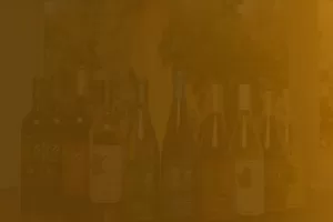 Professional Photographer A row of nine assorted wine bottles is displayed on a reflective surface with blurred trees in the background. An orange tint overlays the entire image, evoking the warm ambiance often captured in wedding photography. www.maranonimagery.com