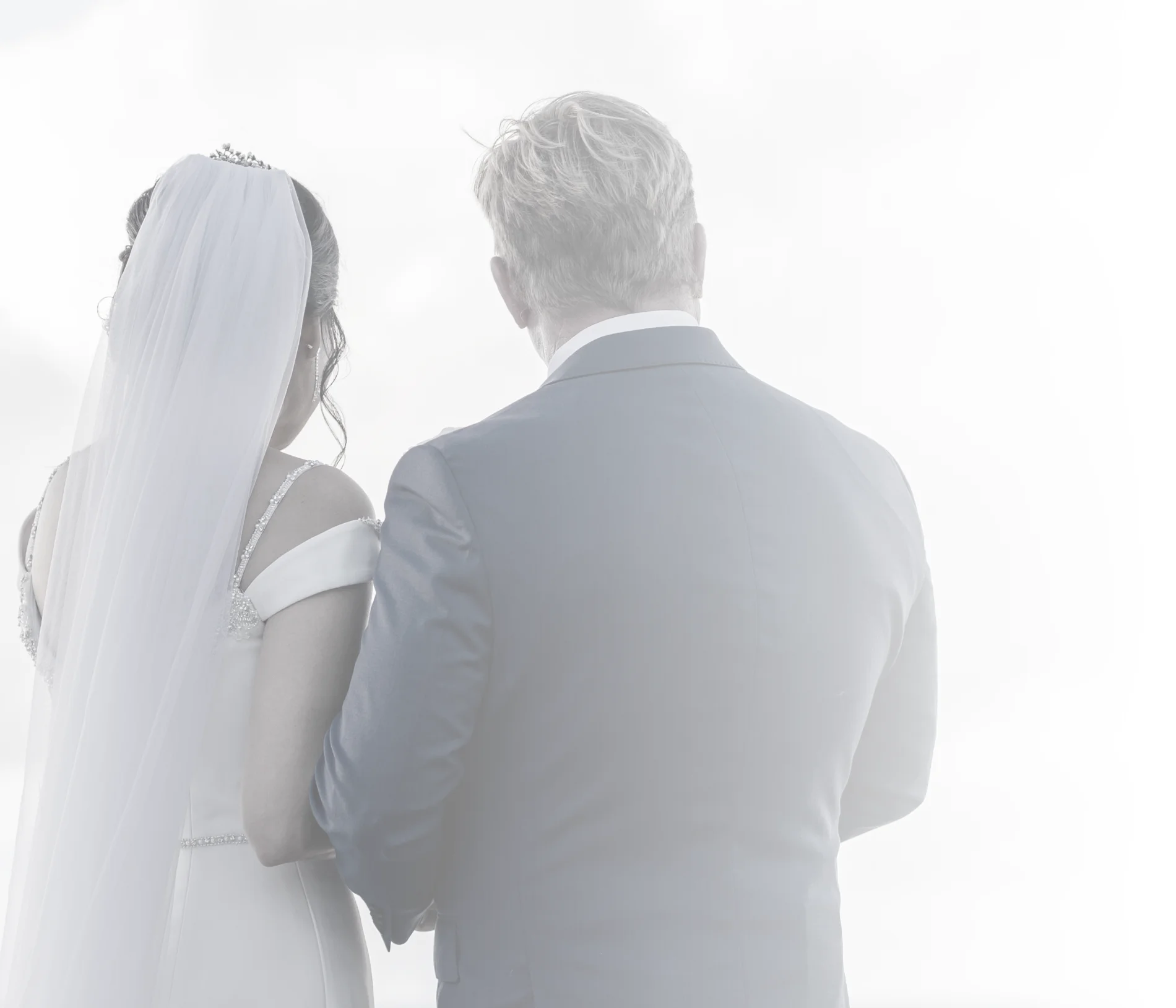 Professional Photographer A bride in a white dress and veil stands beside a groom in a light blue suit. Both are seen from behind, holding hands against a bright, softly lit background—an elegant moment captured by skilled wedding photography. www.maranonimagery.com