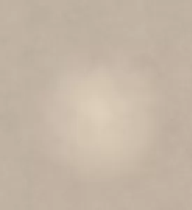Professional Photographer A soft beige background with a subtle, lighter circular area in the center, resembling a gentle vignette—ideal for wedding photography or elegant headshots by a professional photographer. www.maranonimagery.com