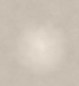 Professional Photographer A light beige, textured background with a soft, diffused white spot in the center, creating a gentle glow—ideal for headshots or portraits with a subtle vignette effect. www.maranonimagery.com