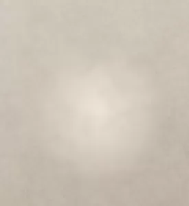 Professional Photographer A soft, light beige textured surface with a faint, hazy white spot in the center, reminiscent of a photographer’s dreamy backdrop often used in wedding photography and portraits for a subtle, cloudy appearance. www.maranonimagery.com